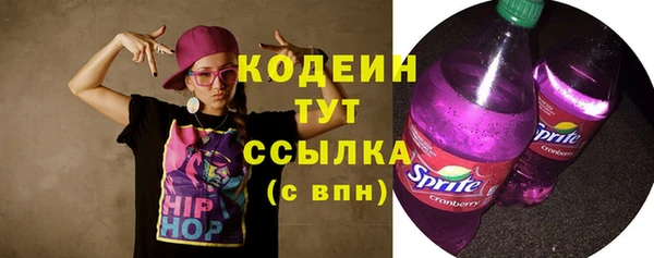соль ск Богданович