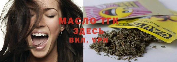 соль ск Богданович