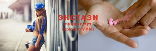крисы Богородицк