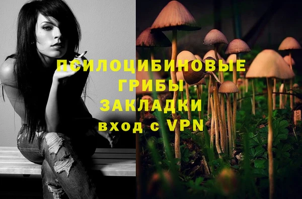 соль ск Богданович