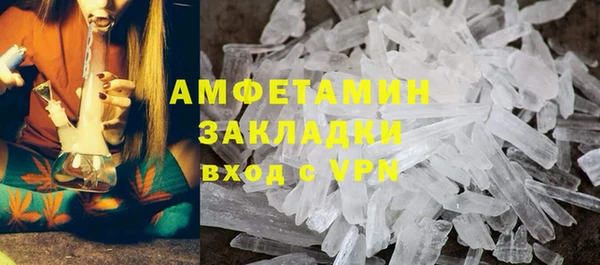 крисы Богородицк