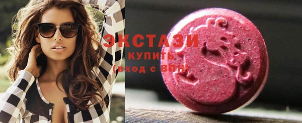крисы Богородицк