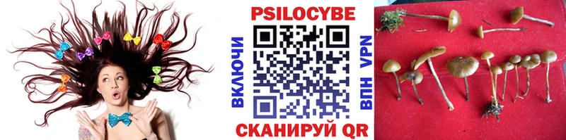Купить где  Шимановск  Псилоцибиновые грибы мухоморы 